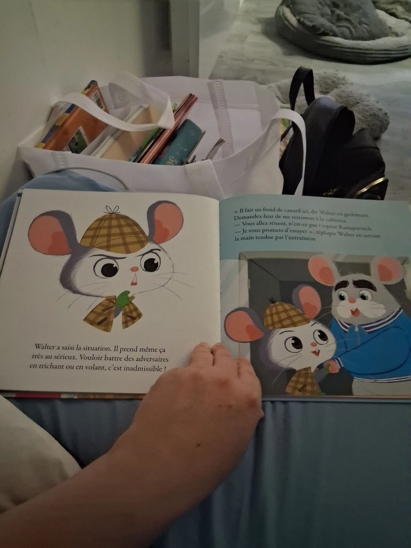 Walter investigates at the ice rink – photo 3
